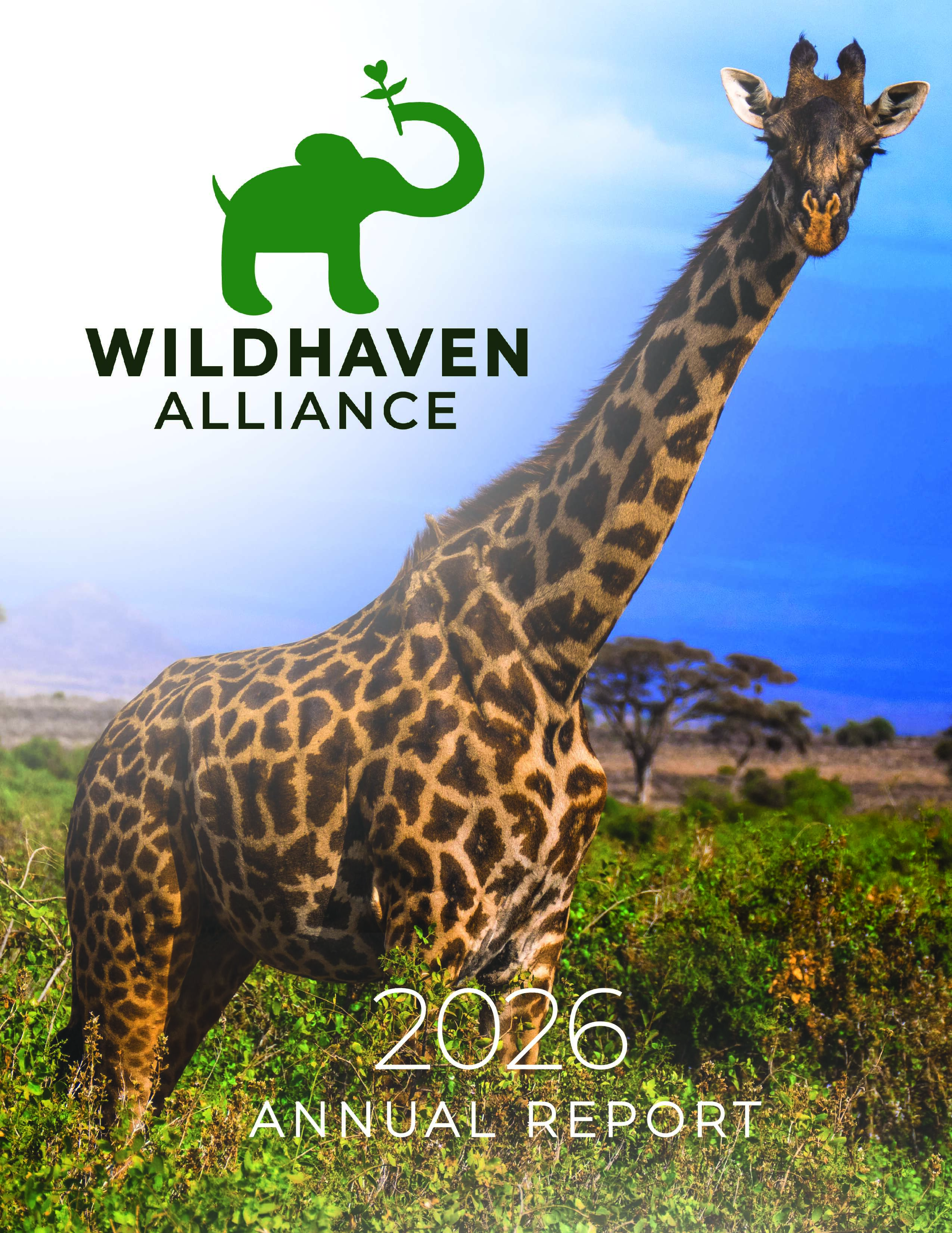 Annual Report