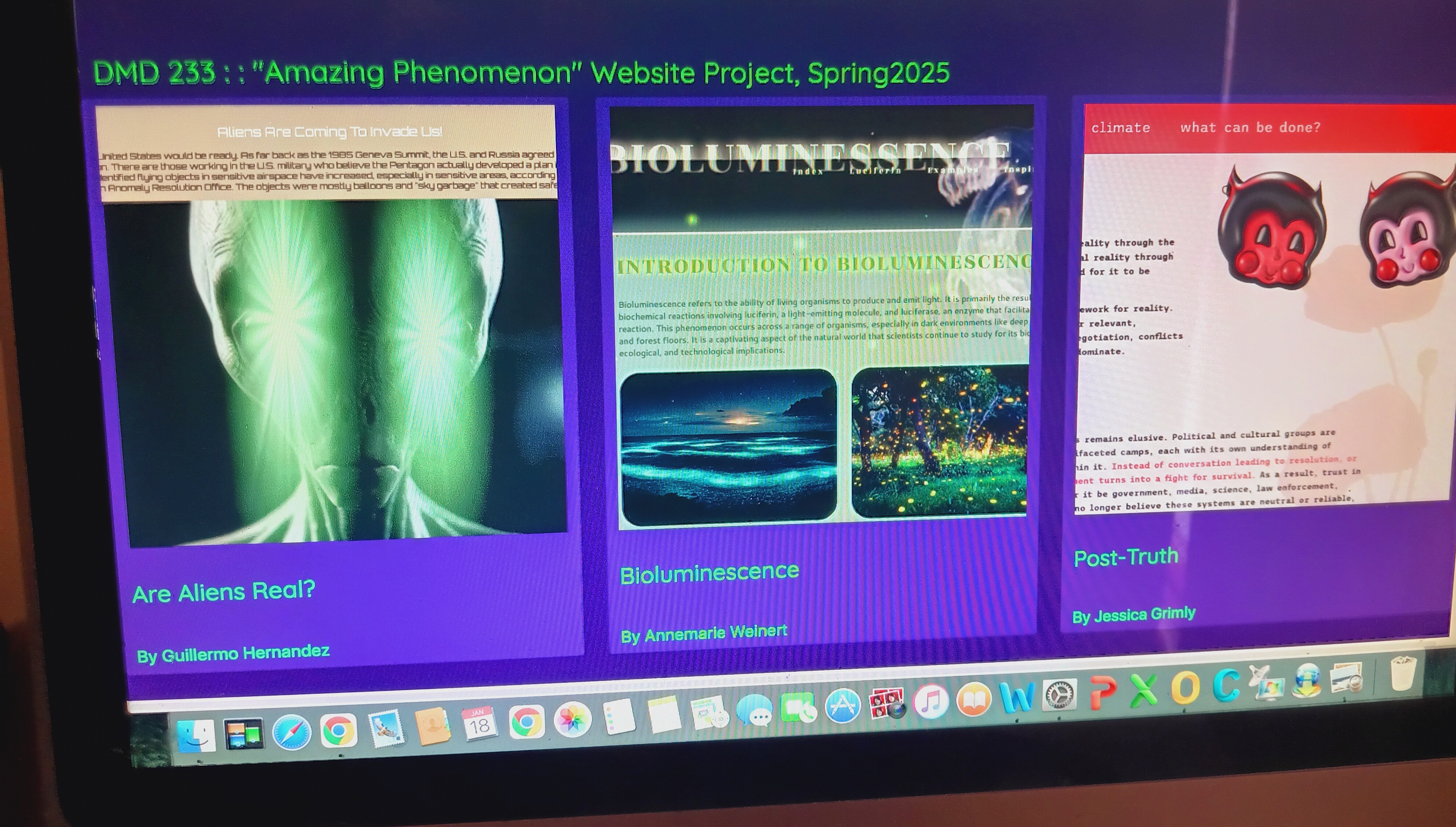 DMD Website Screenshot